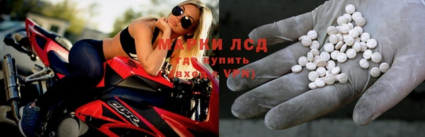 дживик Майский