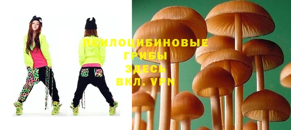 дживик Майский