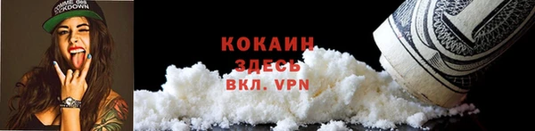 дживик Майский