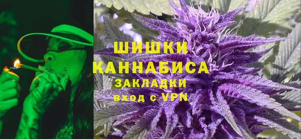 дживик Майский