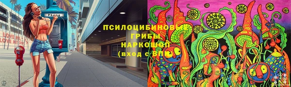дживик Майский