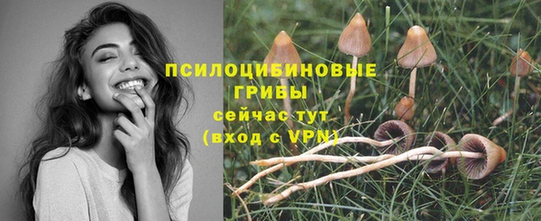 ПСИЛОЦИБИНОВЫЕ ГРИБЫ Михайловск