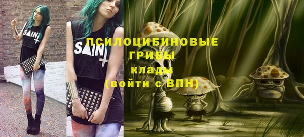 дживик Майский
