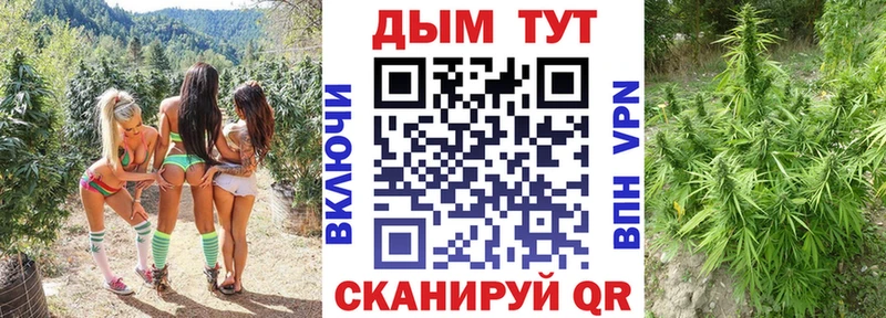 Шишки марихуана SATIVA & INDICA дарнет шоп Поворино